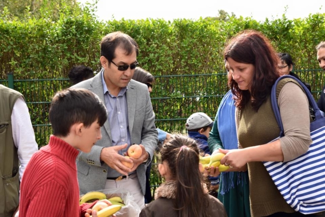 12002846_880511308691479_931932871080013134_n